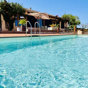 Punyetes Santa Margalida